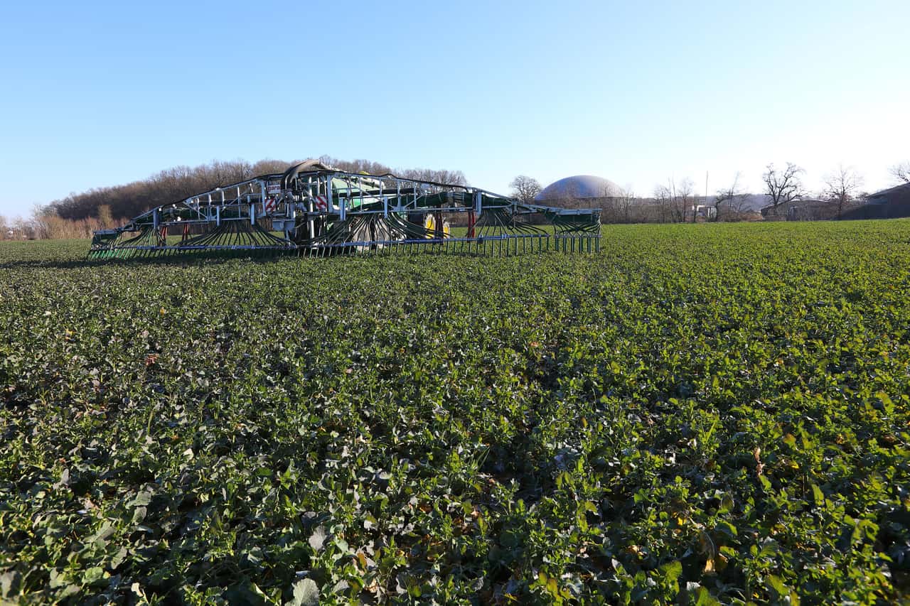 In-den-Roten-Gebieten-besser-den-Ball-flach-halten