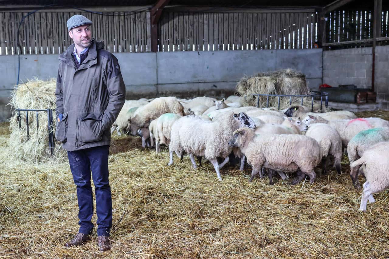 Prinz-William-r-ckt-psychische-Belastung-von-Landwirten-in-den-Fokus