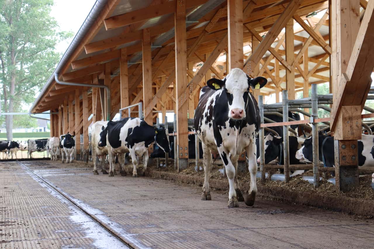 Machtkonzentration-im-LEH-Was-kann-die-Branche-bewirken-