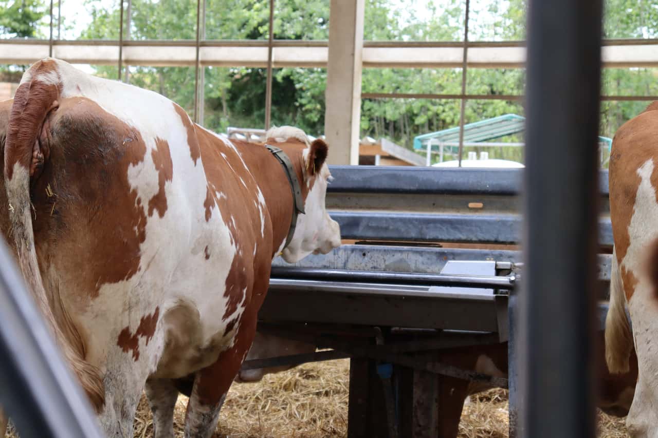 Endlich-dicht-Tr-nkebecken-Stopfen-aus-dem-3D-Drucker