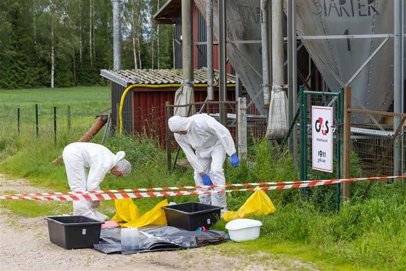 22-000-Hausschweine-betroffen-ASP-Fall-in-lettischem-Gro-betrieb