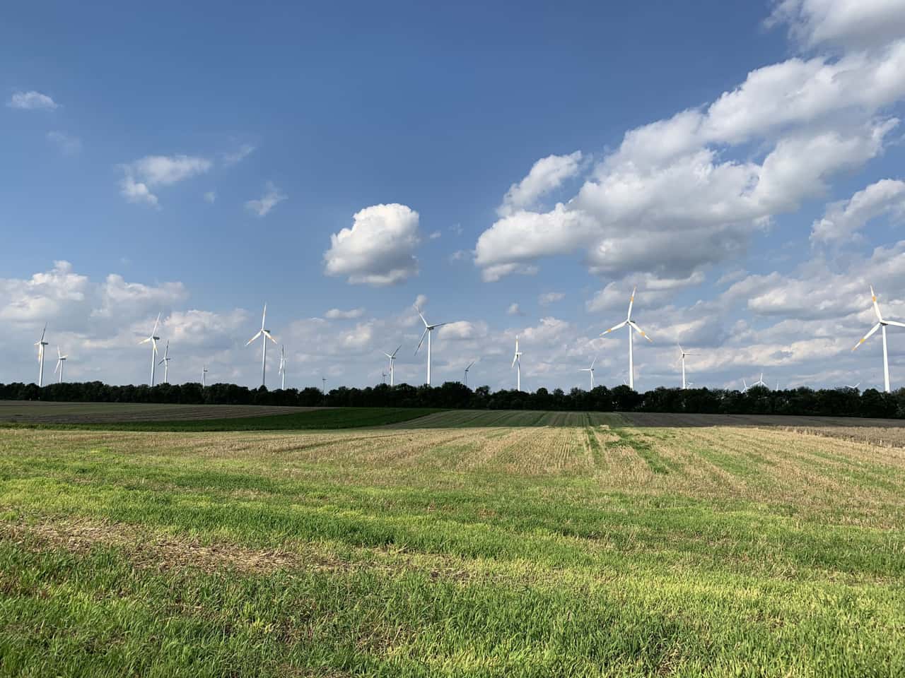 Syngenta-und-Statkraft-unterzeichnen-f-nfj-hrigen-virtuellen-Stromliefervertrag