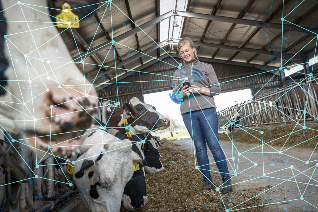 Kommunikationsexperte-Milchbranche-muss-Inhalte-ins-Netz-bringen-