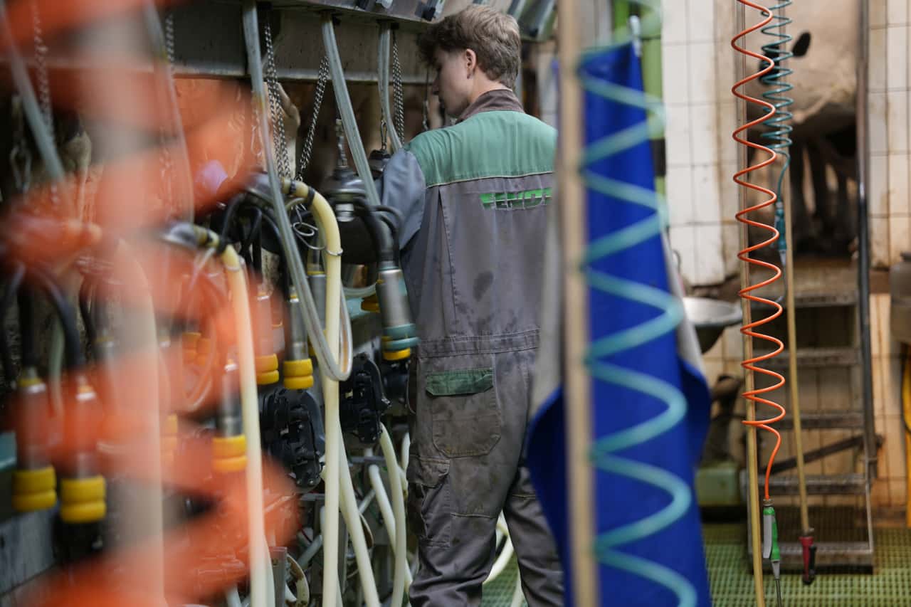 Eingriff-in-den-Milchmarkt-EU-Kommission-z-gert-noch