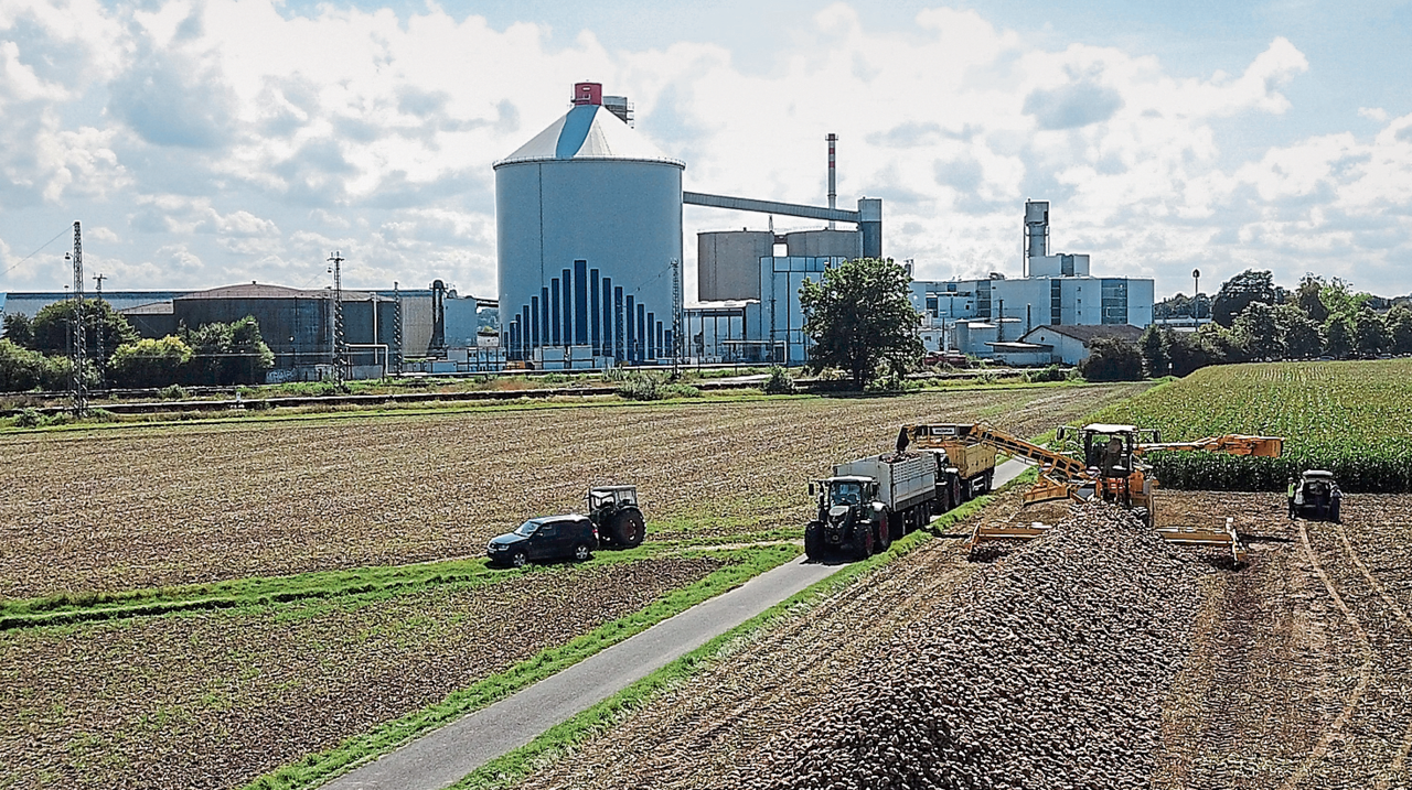 Wegen-Spitzenertr-gen-Zuckerm-rkte-quellen-ber