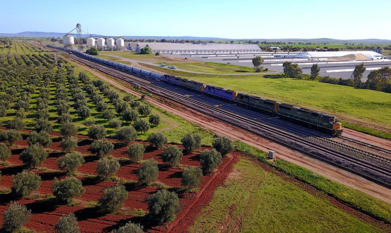 Australien-Weizenernte-erneut-gr-er