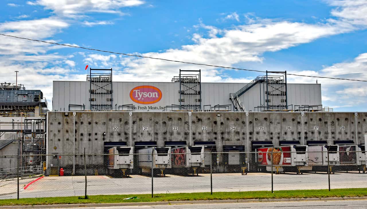 Tyson-zahlt-48-Mio-Dollar-Vergleich-wegen-Preisabsprache-bei-Schweinefleisch