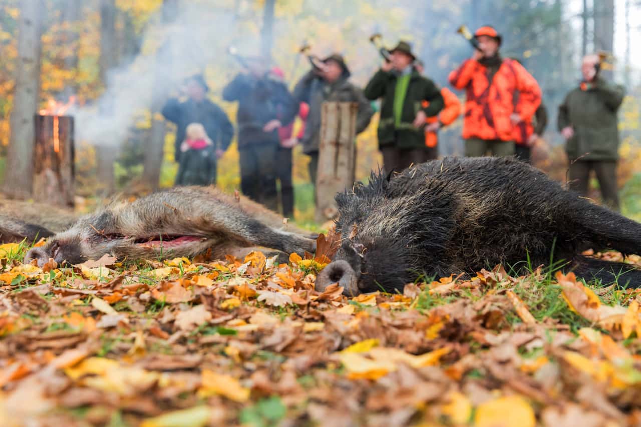 Zwei-J-ger-streiten-ber-Vereinbarung-im-Jagdpachtvertrag-das-sagt-der-Experte