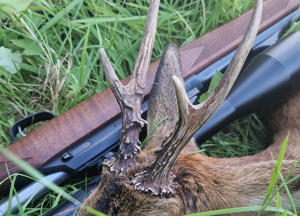 Neues-Jagdgesetz-in-Bayern-bringt-mehr-Eigenverantwortung-f-r-J-ger