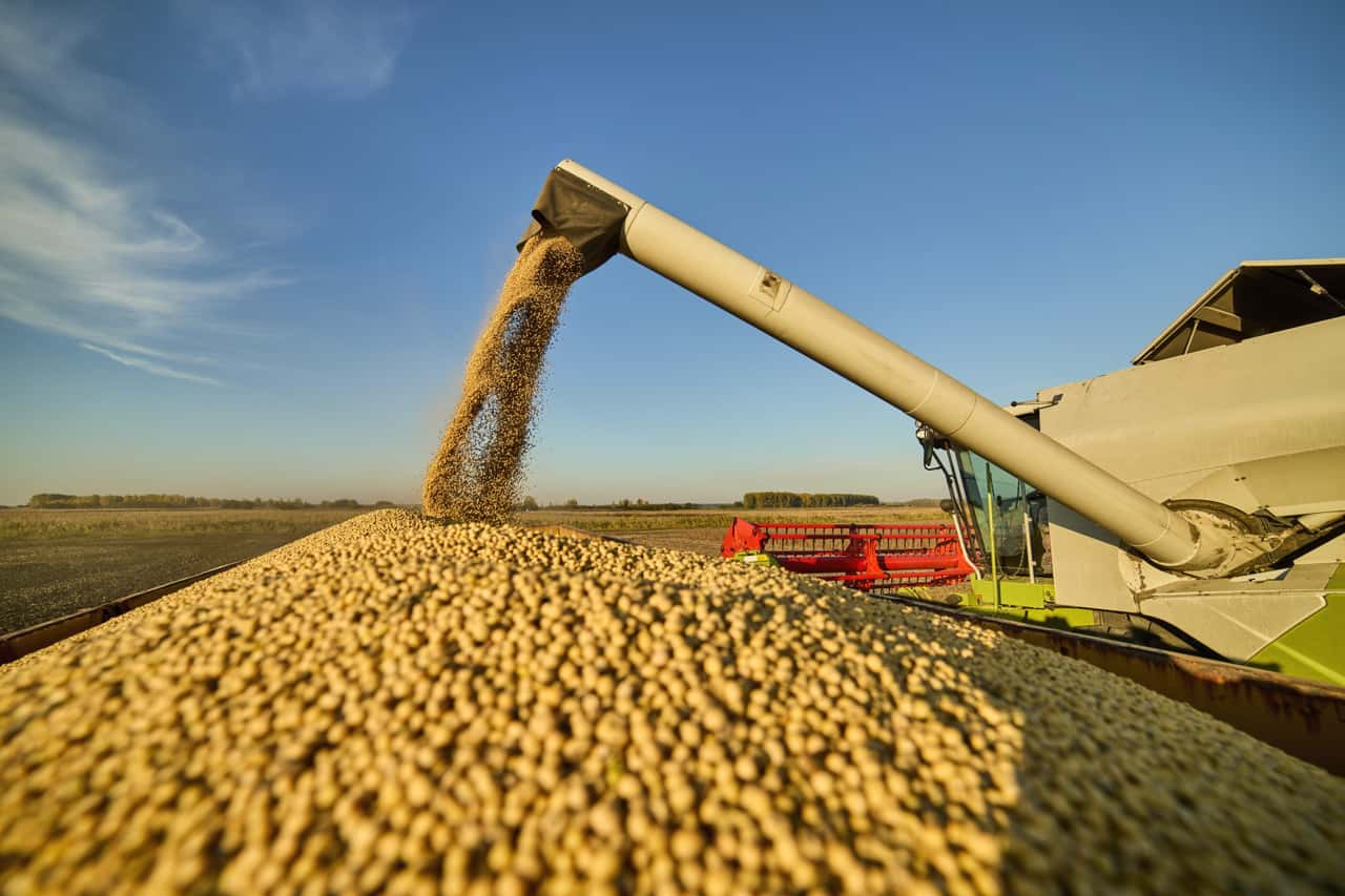 Trump-will-China-2026-mehr-Sojabohnen-verkaufen-lsaatenkurse-steigen