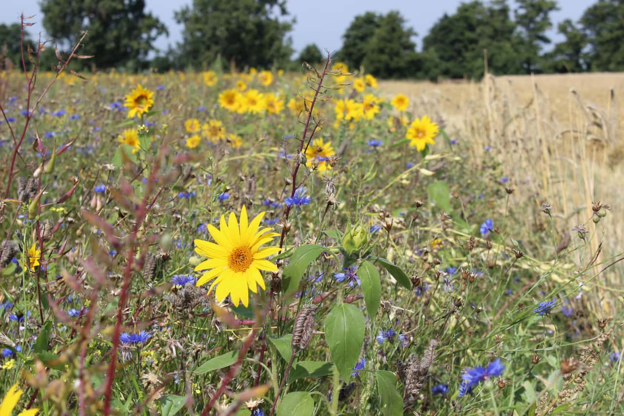 Agricultural Application 2026: What's Changing for Farmers?
