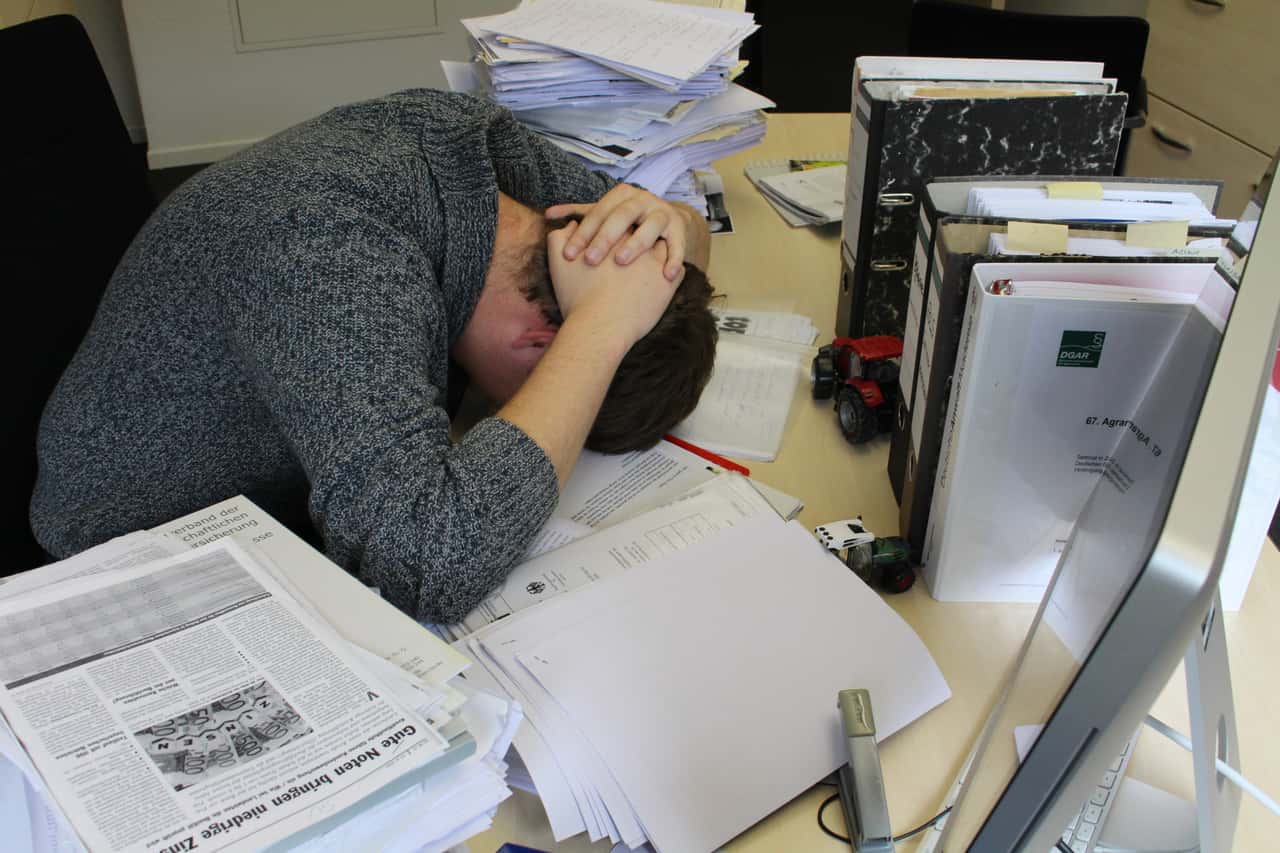 Politik-wirkt-als-Verst-rker-von-Burnout-und-Depression-bei-Landwirten