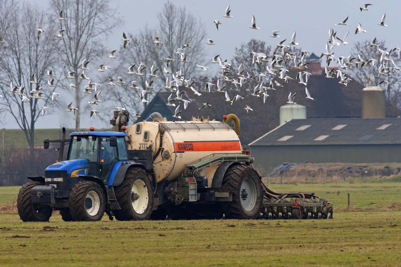Niederlande-Regierung-will-Riesensumme-gegen-N-hrstoff-bersch-sse-einsetzen