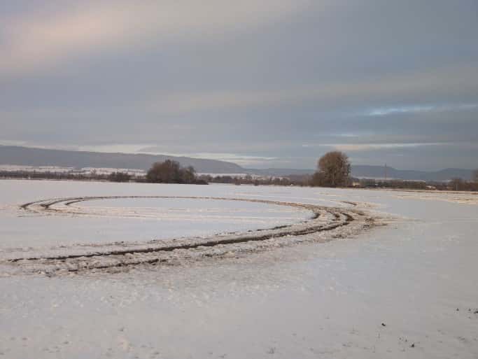 Auto-driftet-auf-Acker-und-zerst-rt-Winterweizen-wer-haftet-nun-