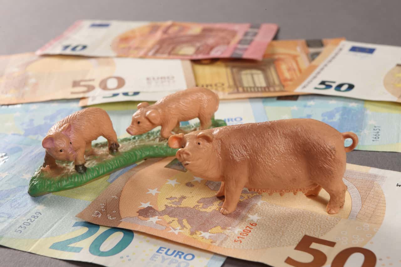 Bundesprogramm-Umbau-Tierhaltung-Wie-viel-Geld-ist-wirklich-noch-vorhanden-