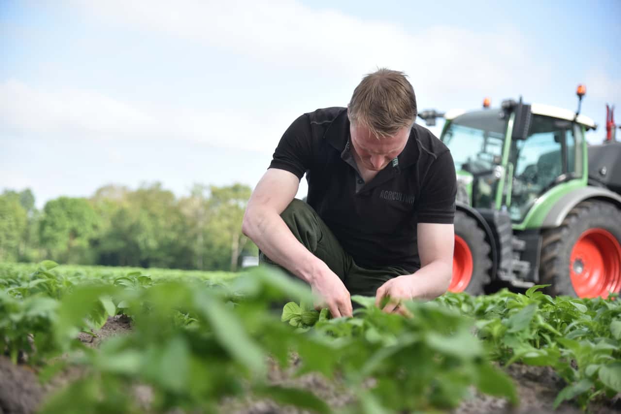BUND (Friends of the Earth Germany) and plant protection companies clash
