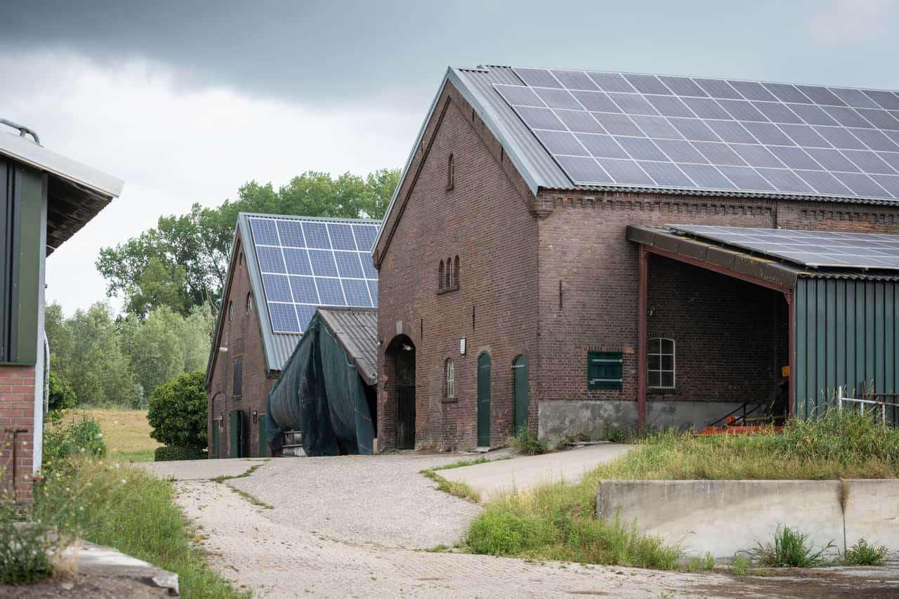 What EU auditors criticize about the CAP proposals