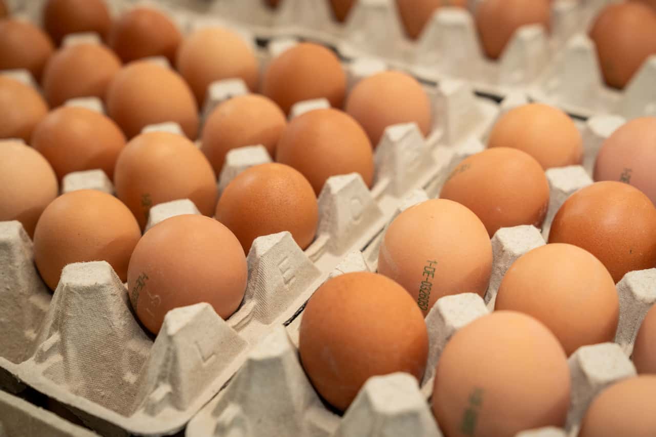 Eggs are in short supply: The free market is practically sold out.