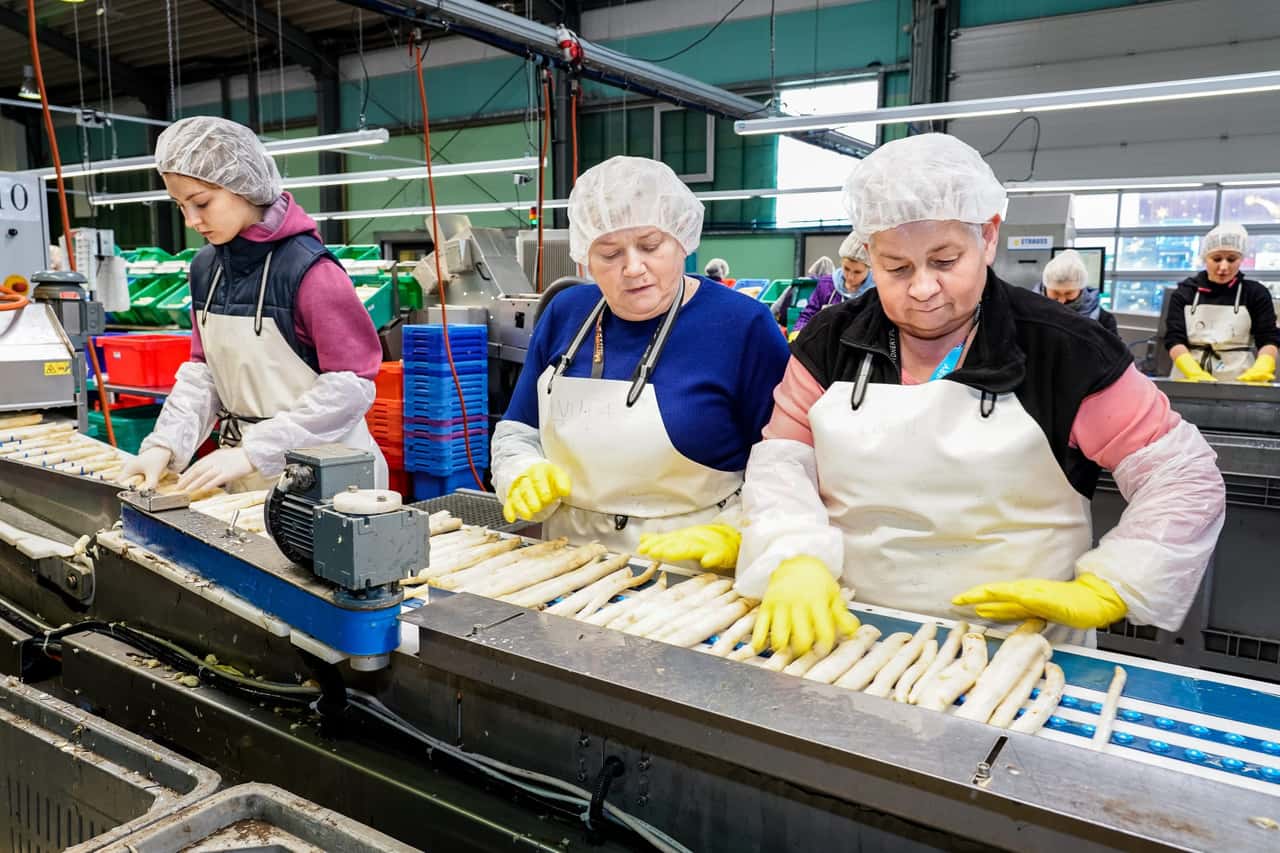 Minimum wage exceptions: This is why the pressure on the SPD is now ...