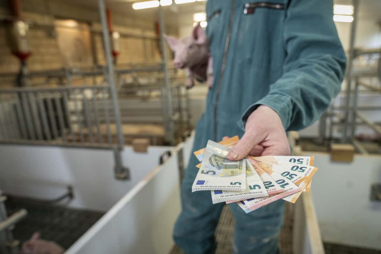 LKK contributions: Farmers demand calculation based on actual income