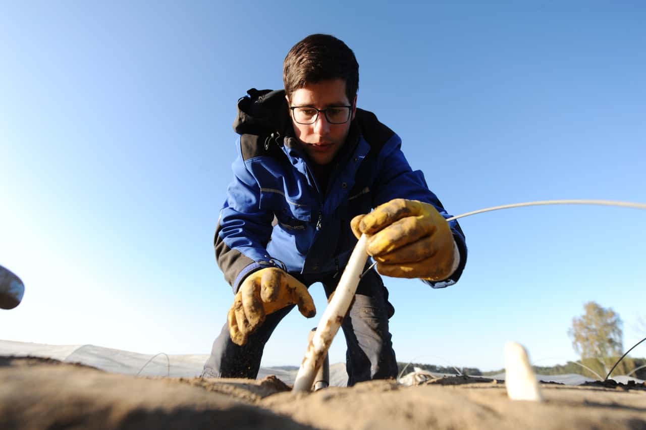 CDU wants further exceptions to the minimum wage - | Ministry of ...