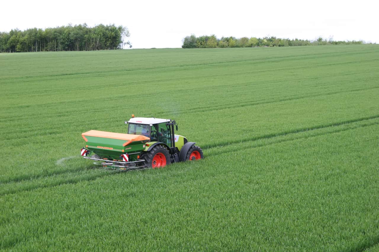 Quality wheat: How optimal nitrogen fertilization works