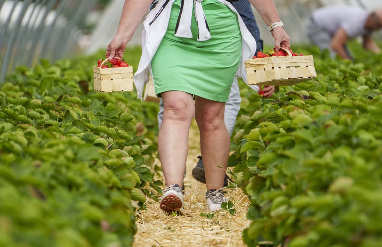 Minimum wage exceptions? Rainer announces review.