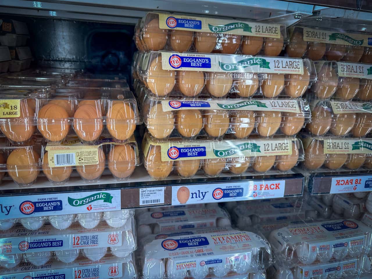 US egg market makes a 180-degree turn - | From shortage to surplus