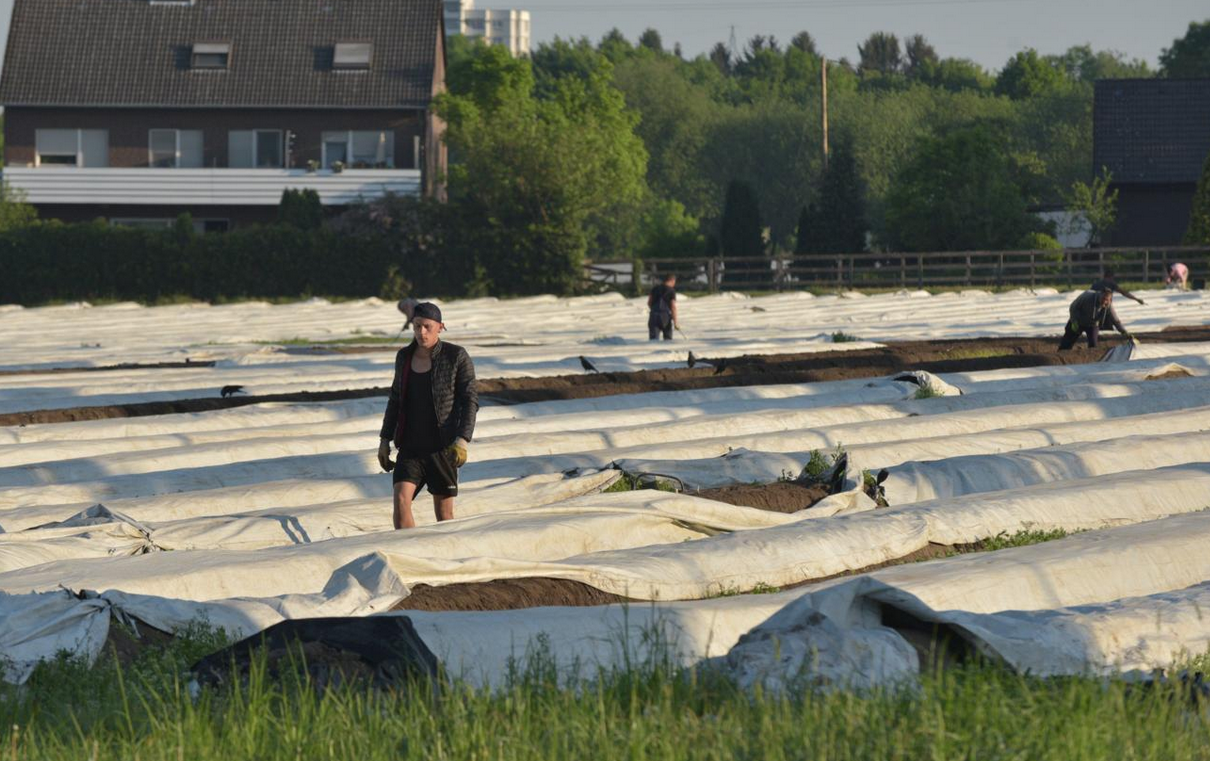 Exceptions to the minimum wage: What is your opinion?