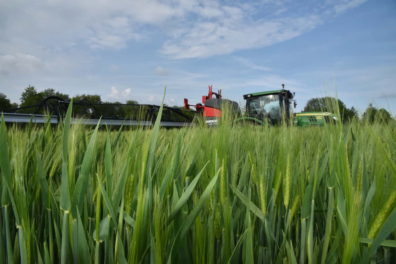 Fungicide resistance in cereals: Where do we stand and how can it be ...