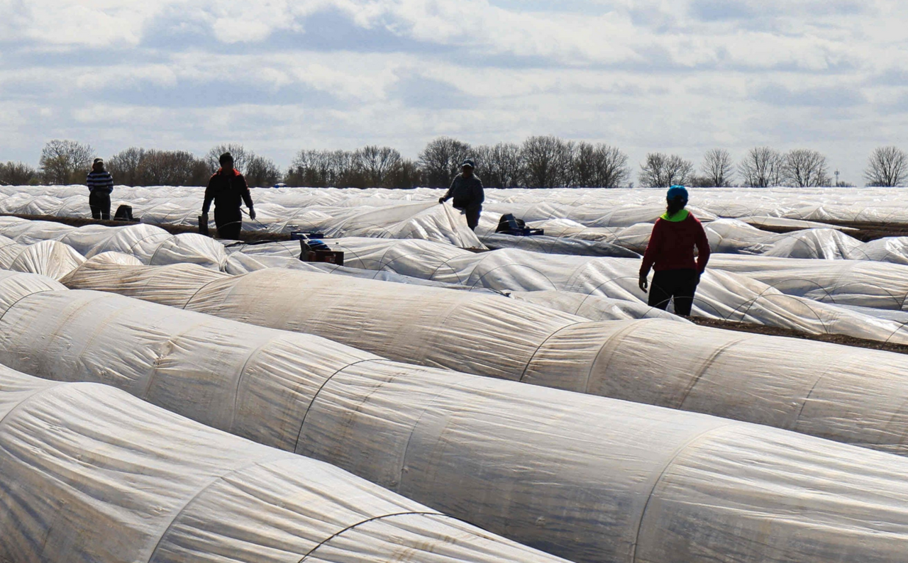 Minimum wage debate: Employers' president does not rule out protests