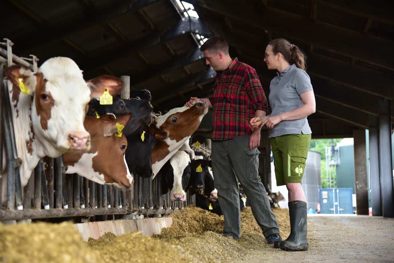 How a prenuptial agreement fairly protects the farm and partner