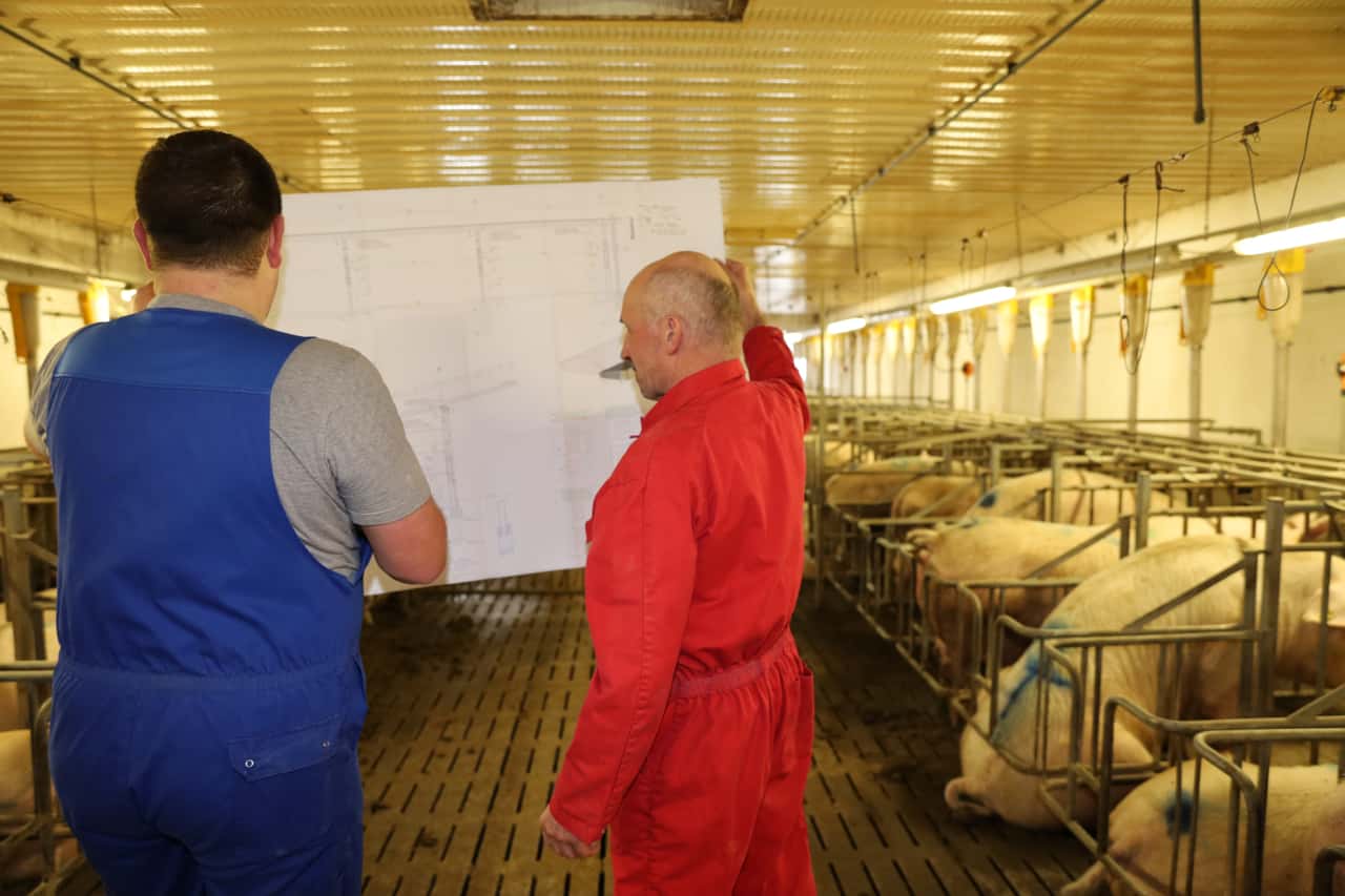Verbände verlangen Millionen-Förderprogramm für den Umbau der Sauenhaltung