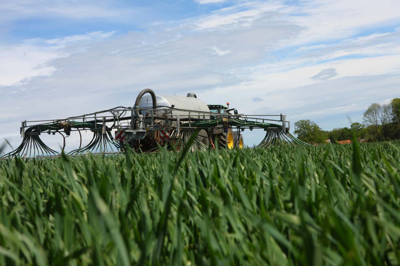 When liquid manure is the most cost-effective fertilizer