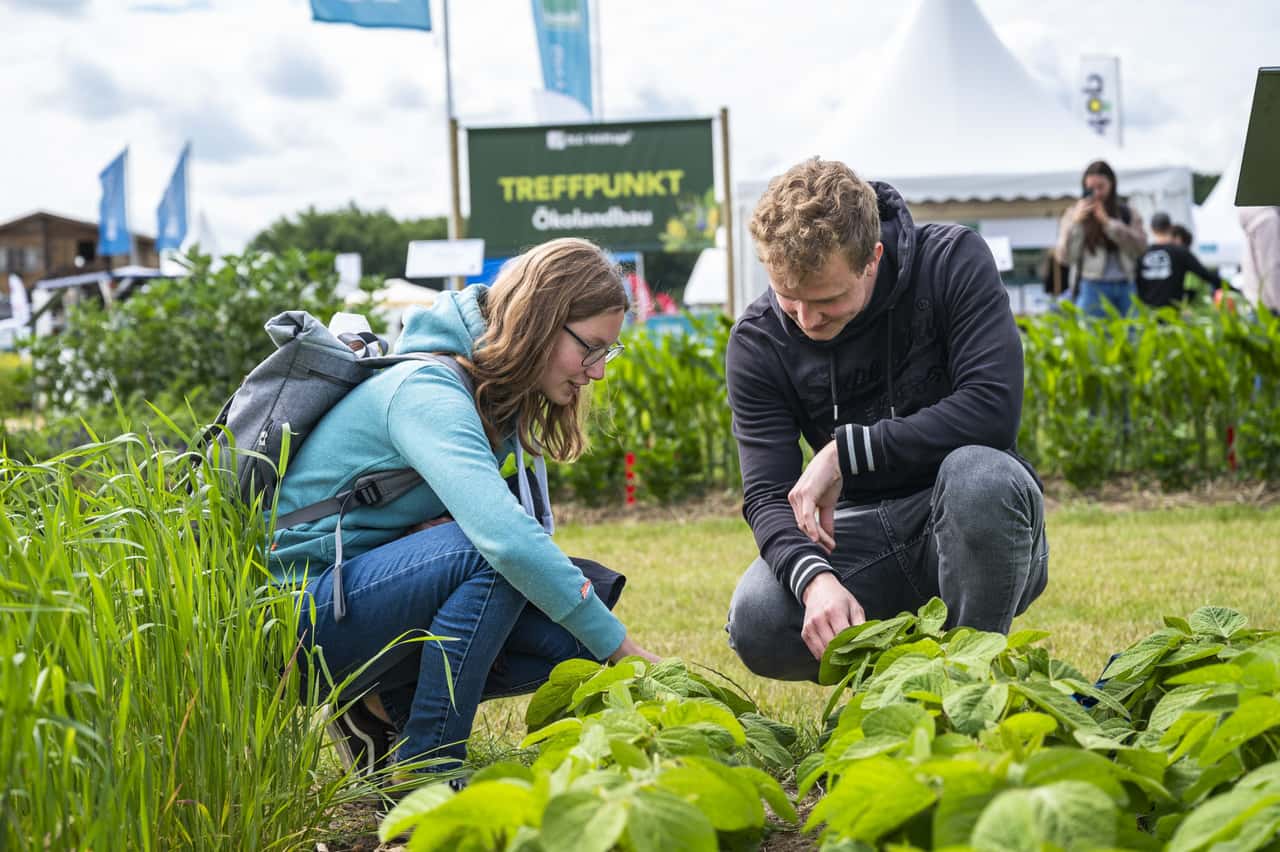 DLG Field Days: Focus on organic farming, ridge cultivation and technology