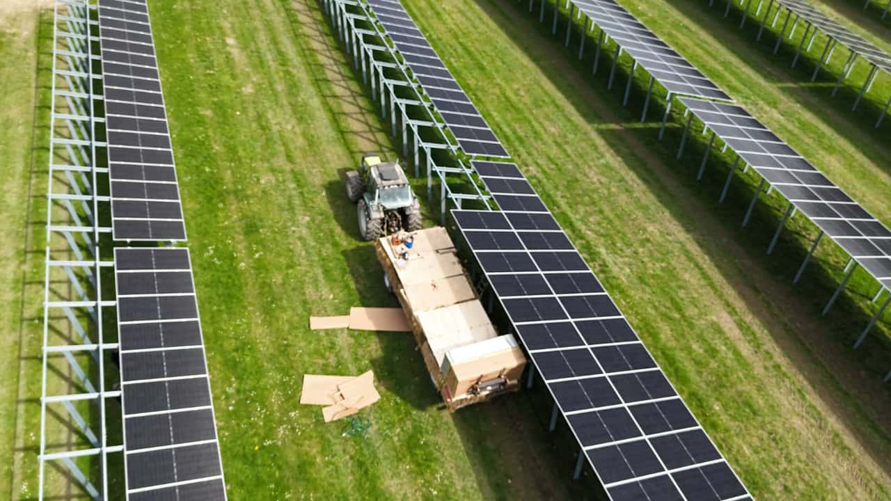 Self-built agri-PV: This is how electricity generation becomes financially ...