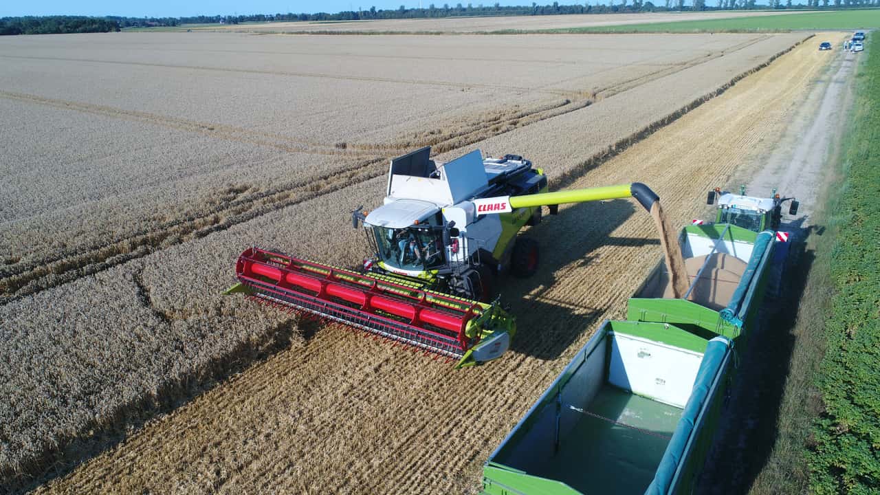 top agrar Market Pro Pre-Harvest Webinar: Your questions, our answers