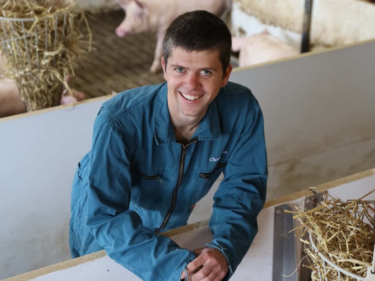 200-Sauen-in-Oelde-So-sichert-Familie-Strake-ihre-Schweinemast