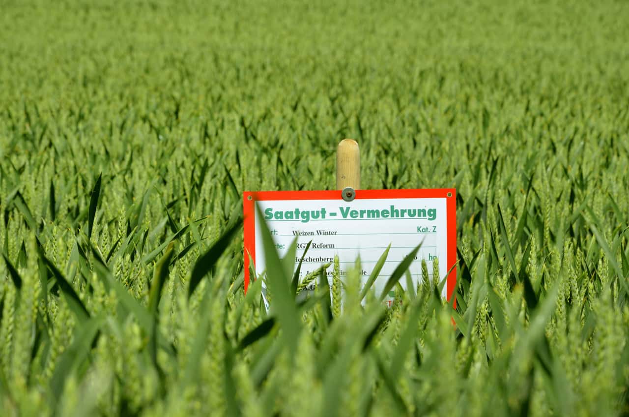 Deutsche-Vermehrung-in-der-Krise-Dramatischer-Appell-an-die-Z-chter