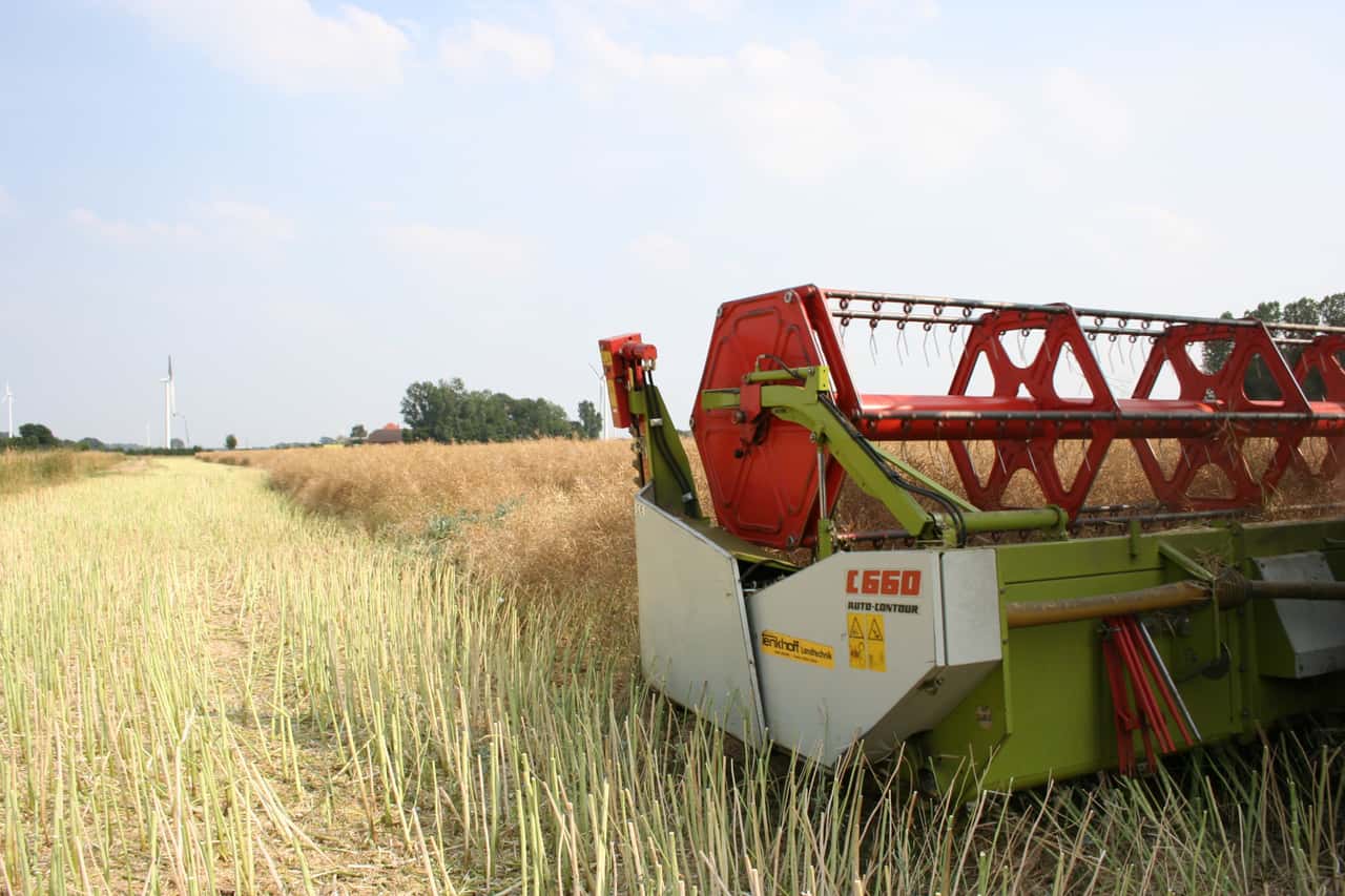 Pre-harvest webinar: How will the markets develop in the new season?