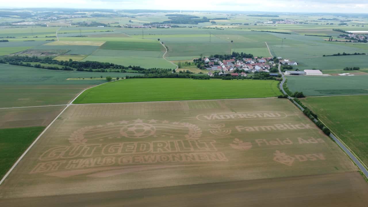 750-000-Maispflanzen-schreiben-Spruch-in-Acker
