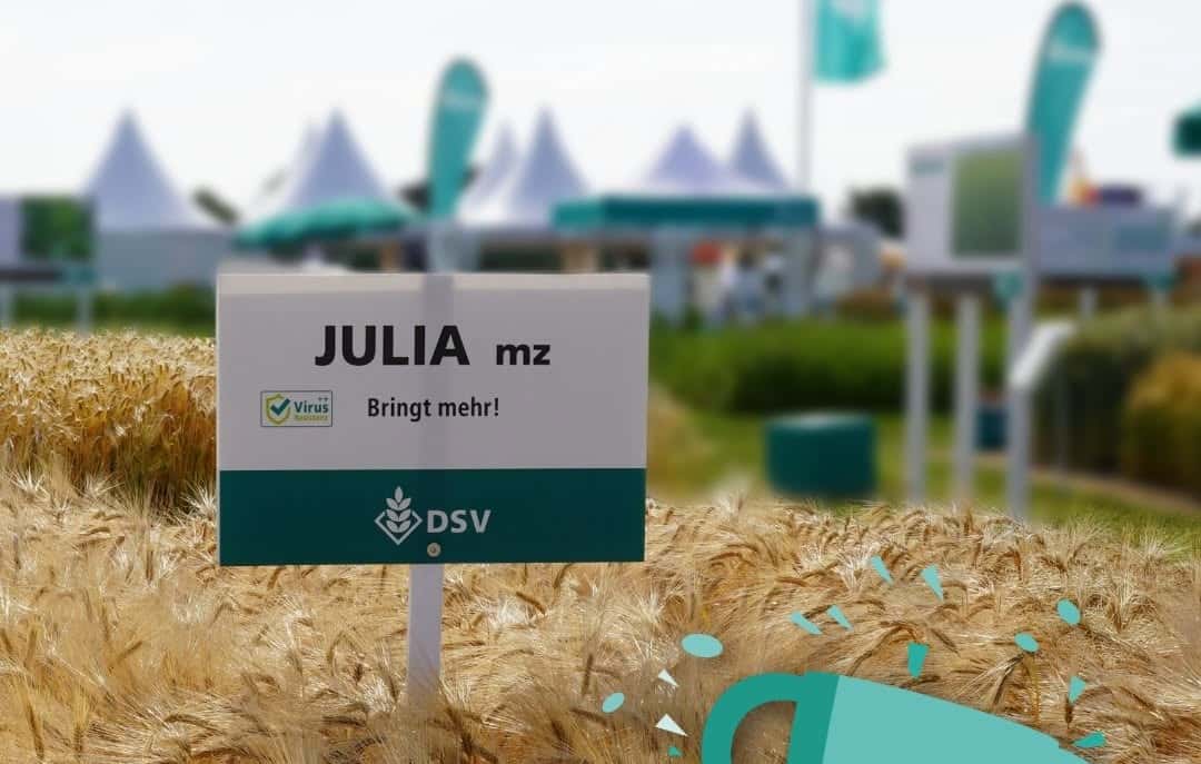 DSV-Seed-Intelligence-Wie-die-Fruchtfolge-zum-intelligenten-Anbausystem-wird