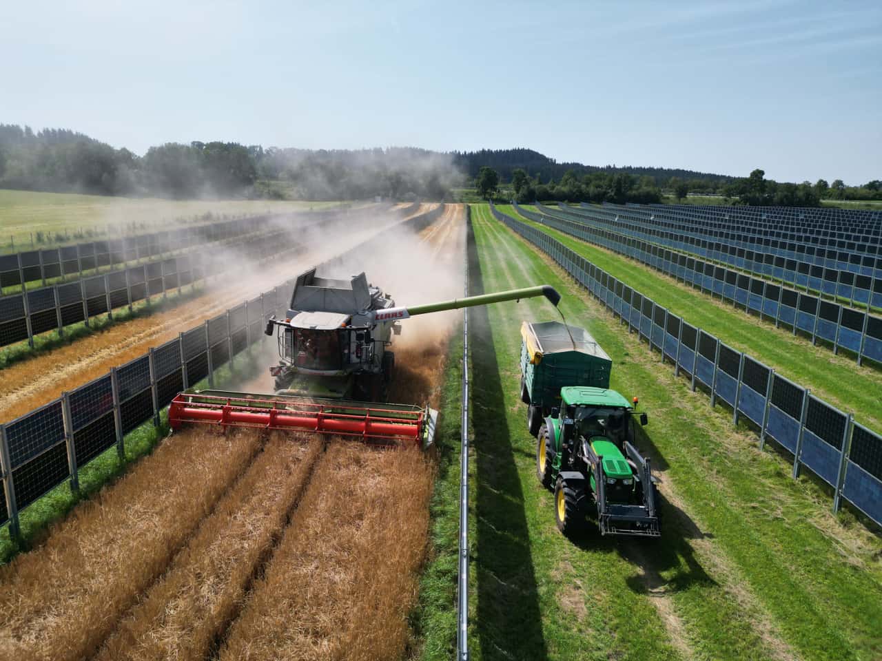 Agri-PV-Warum-Reihenabstand-Schlagkraft-und-Wirtschaftlichkeit-zusammenh-ngen