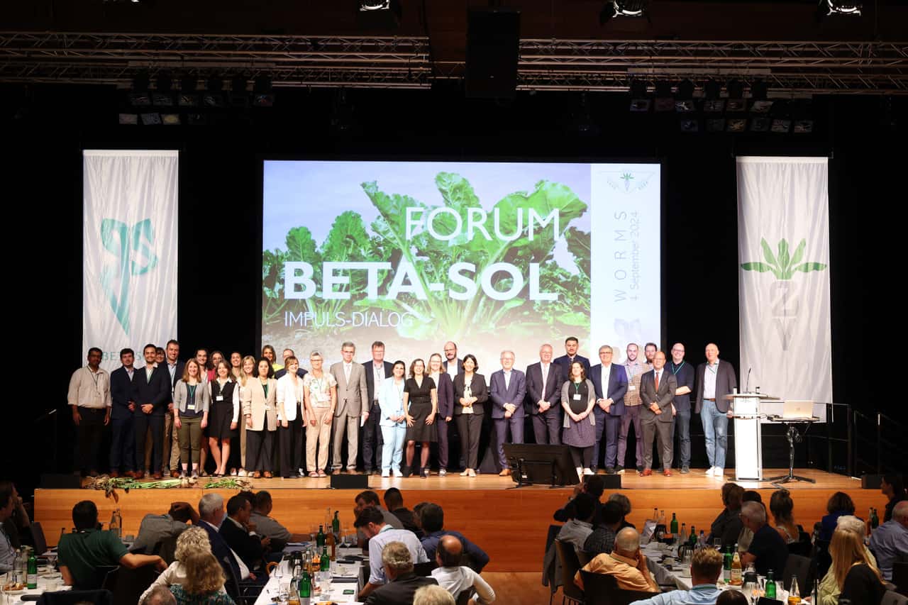 Drittes-Forum-BetaSol-bringt-Zikaden-Experten-im-September-zusammen