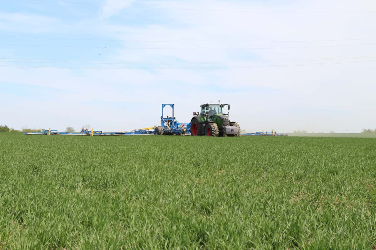 Striegeln-auch-wenn-Herbizide-noch-wirken