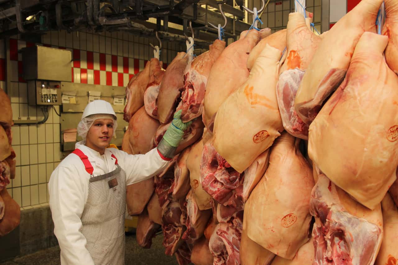 EU schlachtet wieder mehr Schweine – ASP bremst den Absatz