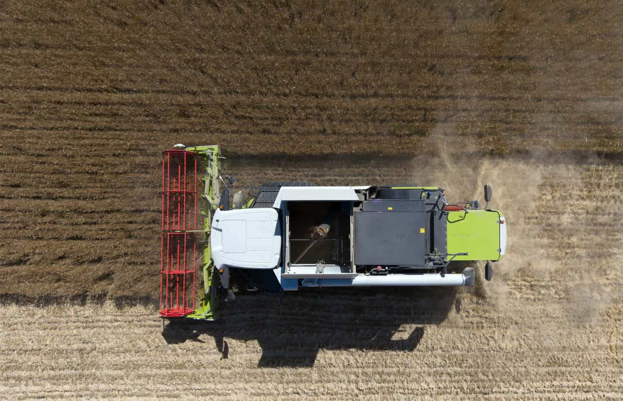 Early French wheat harvest weighs on stock market prices