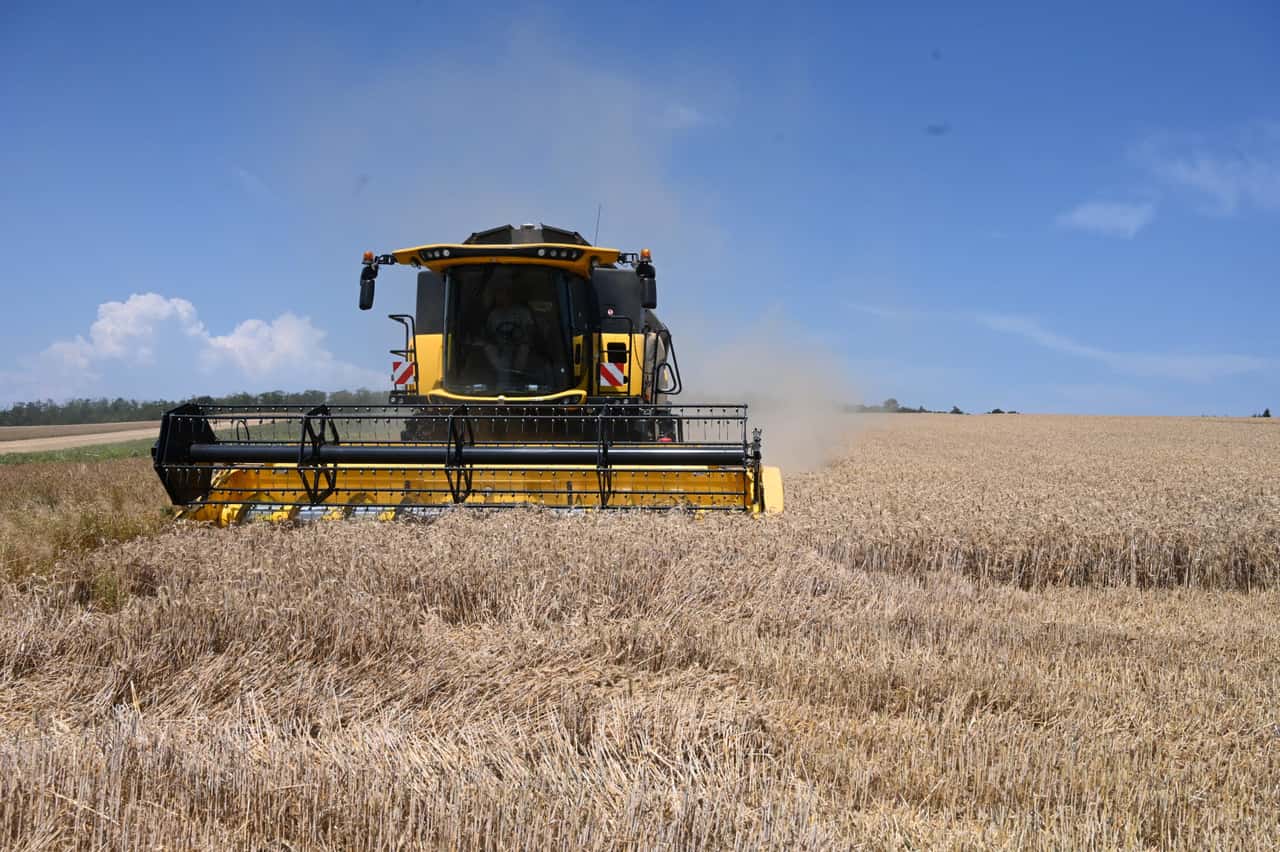 Lower yield, higher costs: Is arable farming still viable?