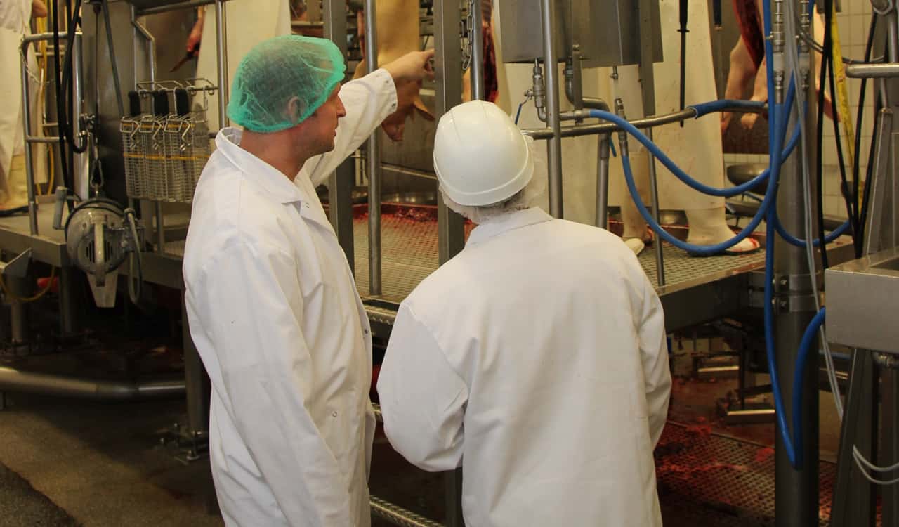 Steigende-Erl-se-bei-Gefl-gel-und-Rind-Schweine-unter-Druck