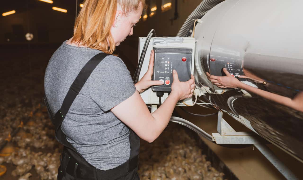 Chicken farmers prioritize animal welfare differently than the EFSA